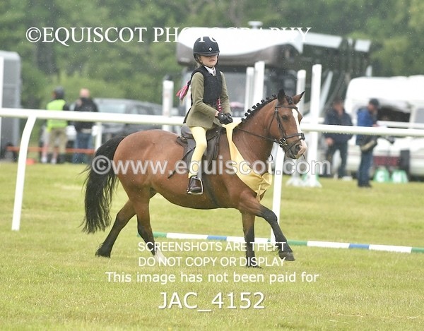 JAC_4152 - 40CM WORKING HUNTER