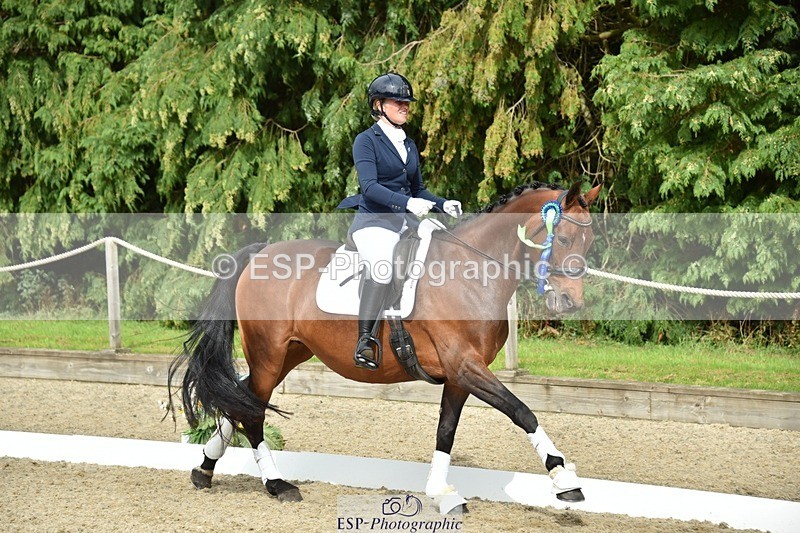 230812-160932-05443 - Novice Bronze Presentations