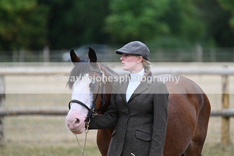 WJ7_8562 - Class 4 Prettiest Mare up to 14.2hh