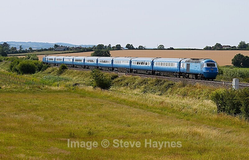 3rd July 2025 - Curry Rivel (Oathe, Wick), Somerset