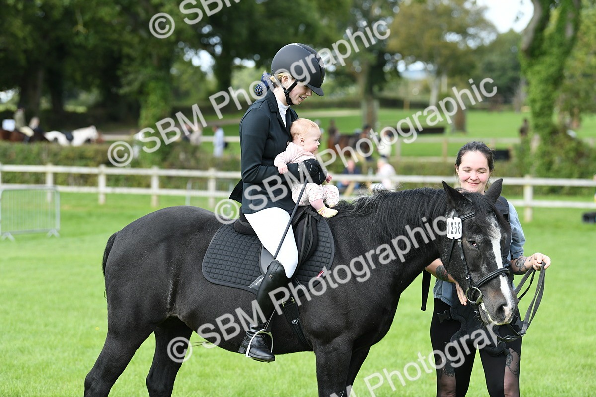 SBM_46829 - S12 - Family Horse & Pony