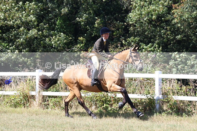 3E7A6317 - Class 6: Working Hunter 1m