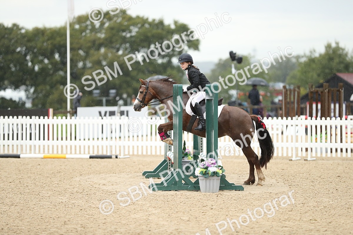 SBM_34378 - J60 Clear Round 50cm