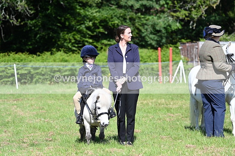 WJ7_0405 - Class 8 First Rally Pony