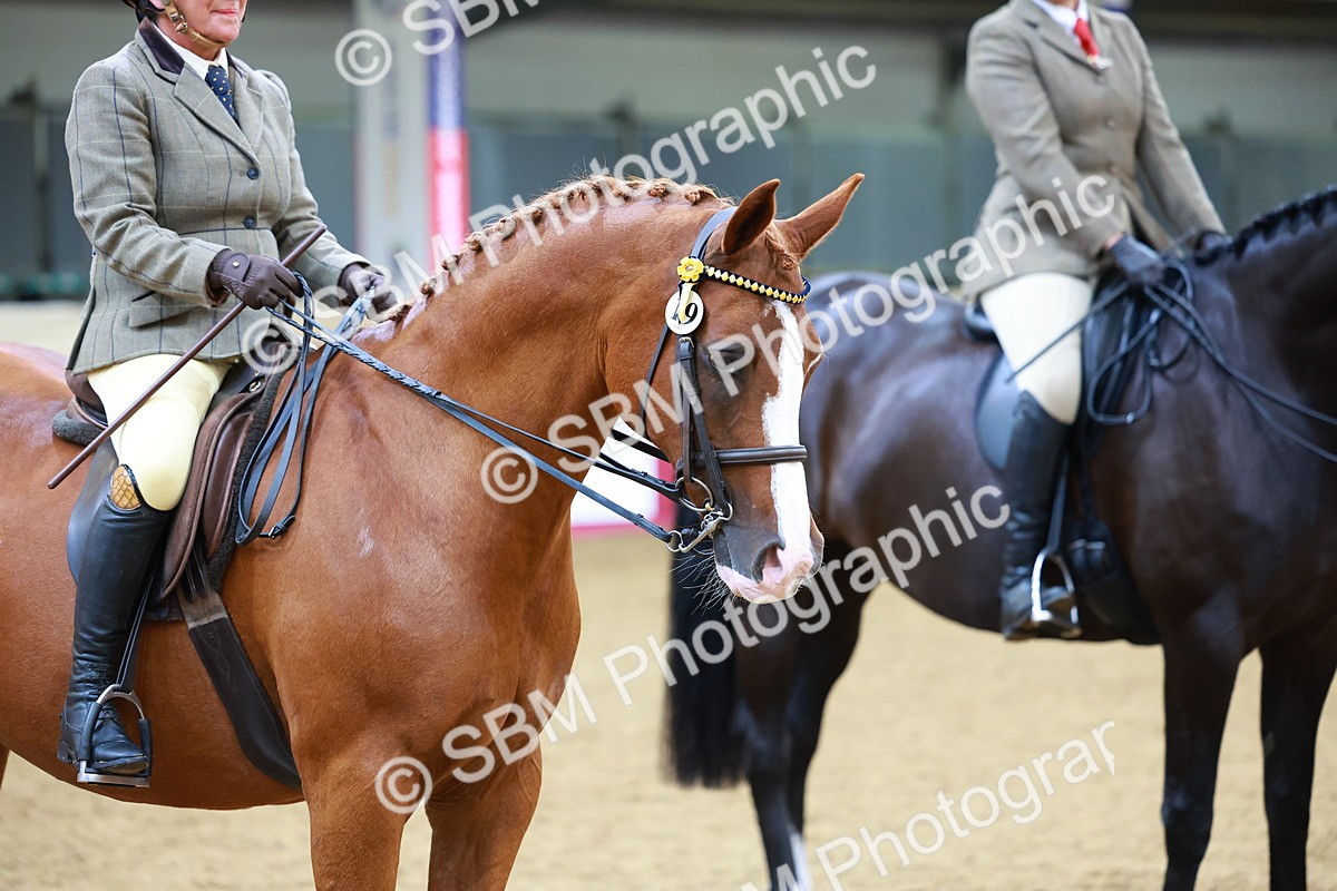 SBM_00822 - Class 6A - Ridden Pre-Vet