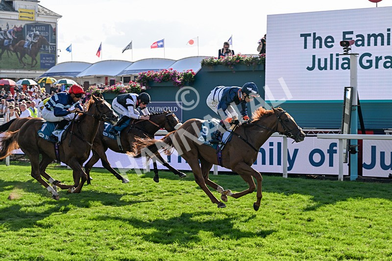 220826-Race 6-Sale Shark-1571 - Race 6 16.45pm Julia Graves Roses Stakes