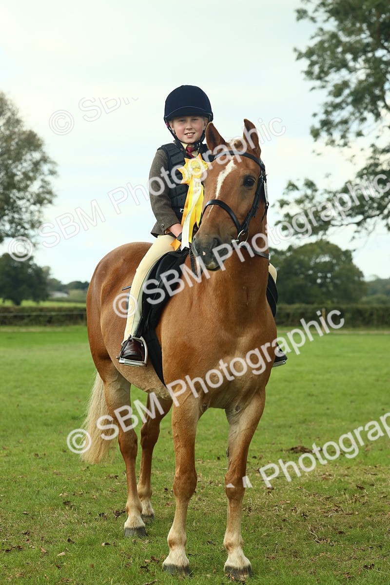SBM_62545 - S62 - Foreign Breeds Ridden