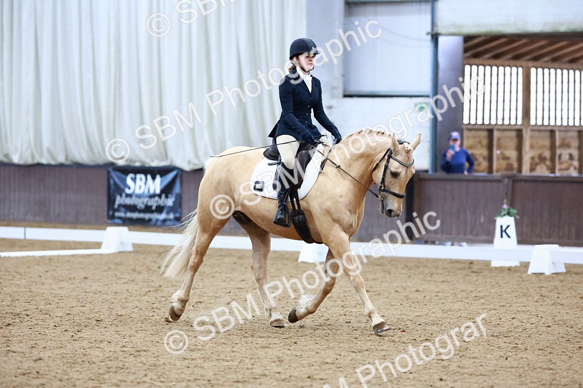 0B8A8278 - Class 5 - Novice 2