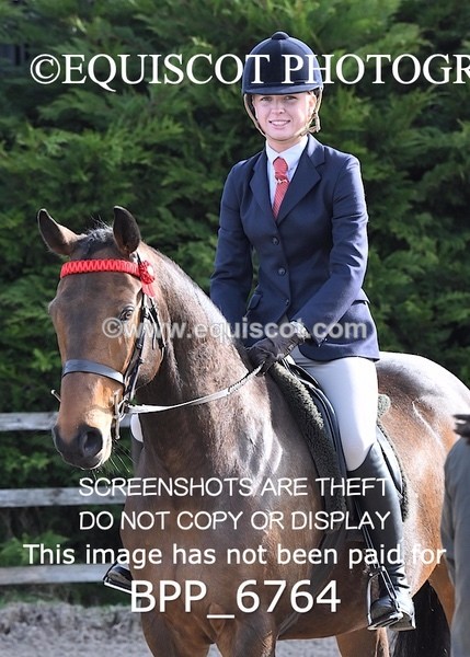 BPP_6764 - RING 1  (RIDDEN HORSES / IN HAND / VETERAN ETC)