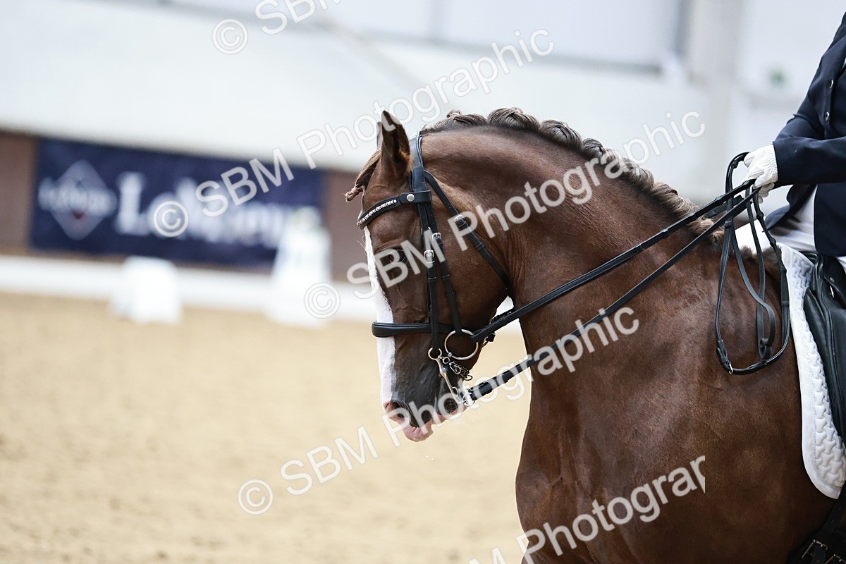 SBM_014414 - Class 7 - Ele FSM Bronze  13.24.14.04