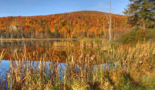  - Fall