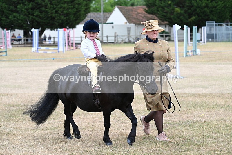 WJ7_8522 - Class 4 Prettiest Mare up to 14.2hh