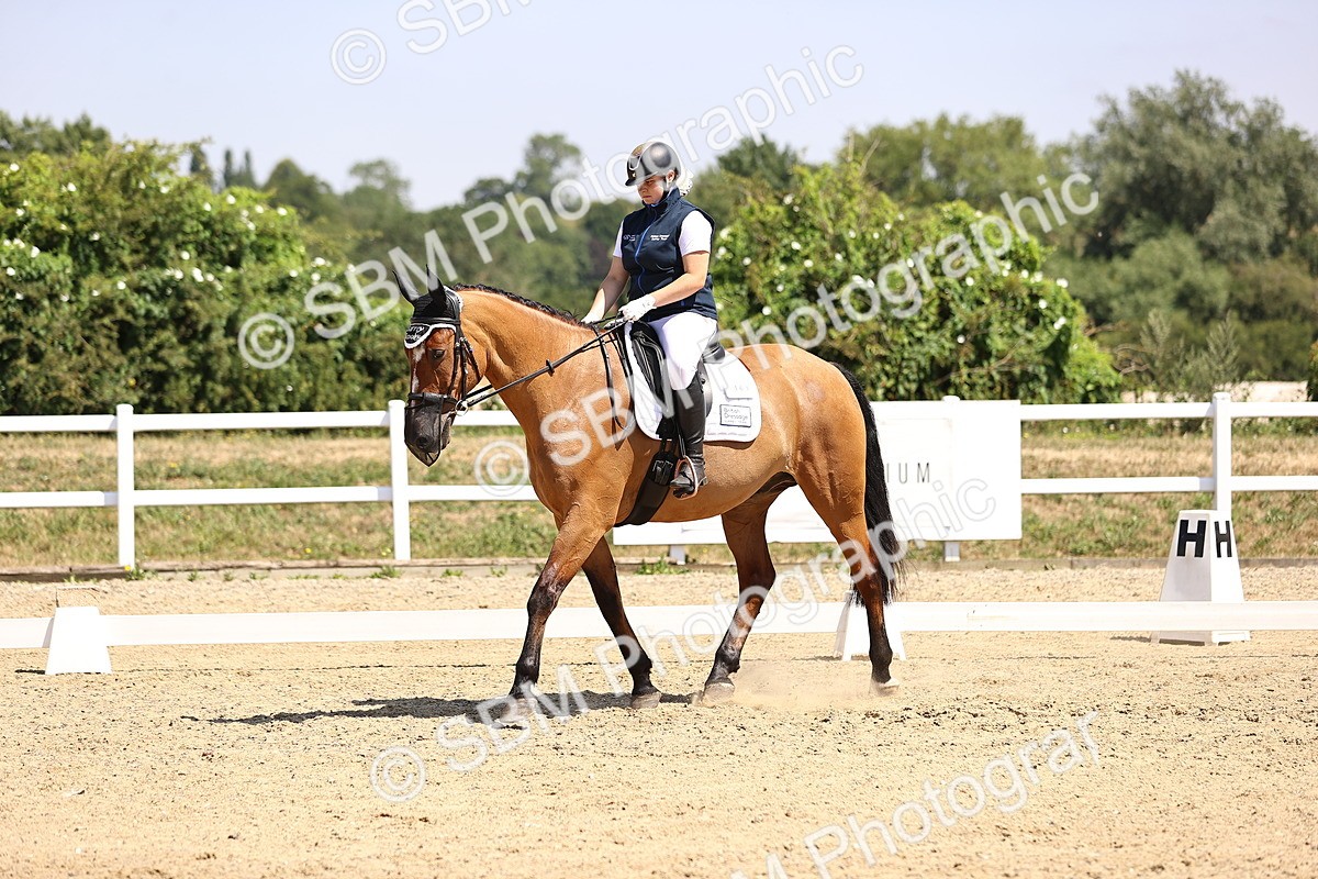 SBM_003988 - Intro 2