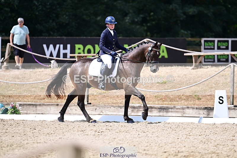 260802A-112913-06365 - Novice Bronze break - end