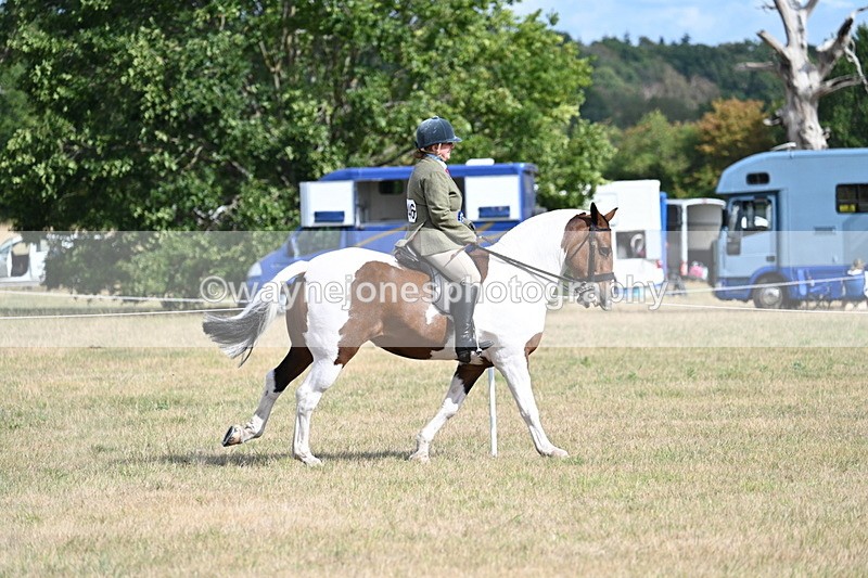 WJ7_7454 - Class 14 Ridden Coloured
