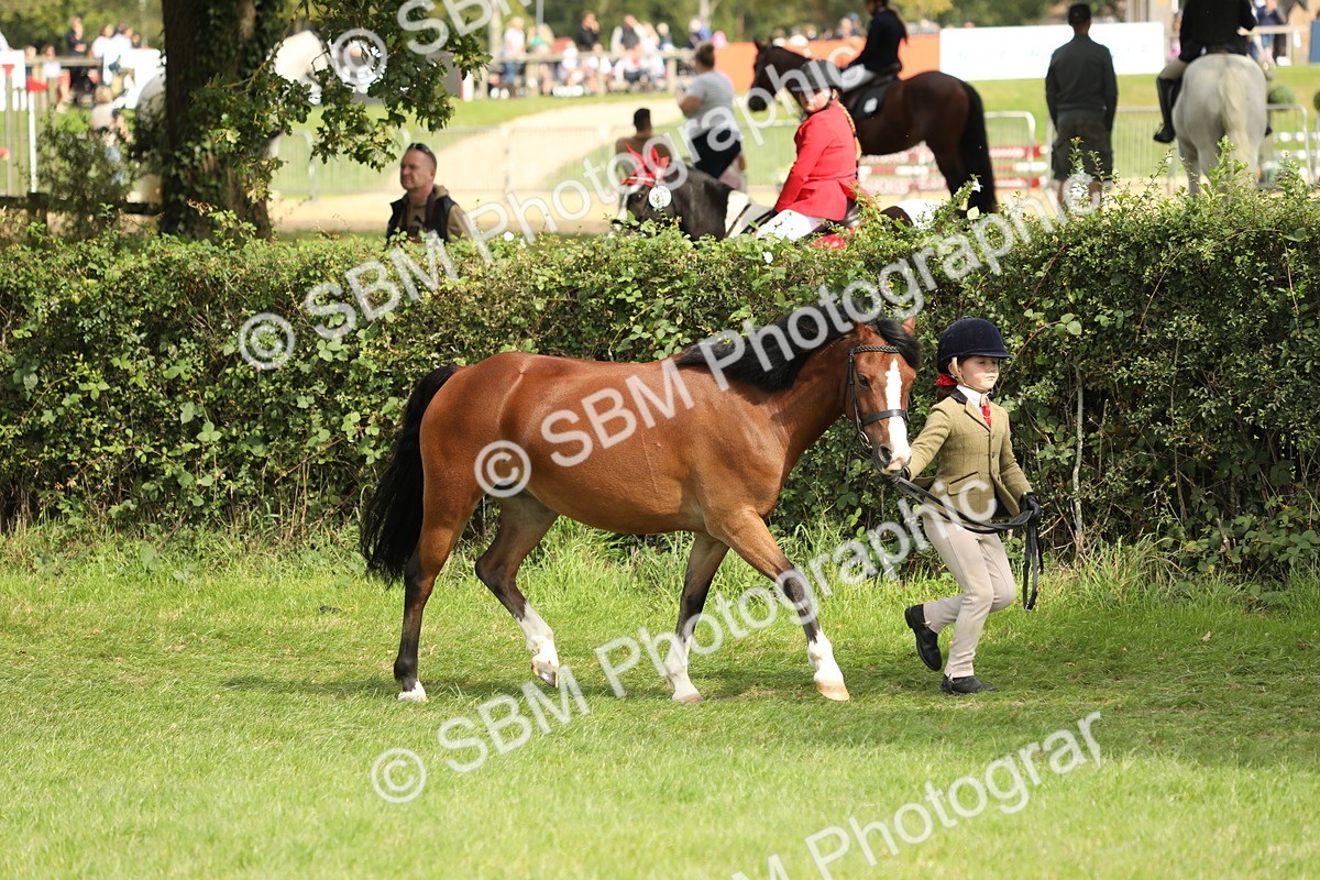 SBM_67704 - S39 - Junior Handler 8  Years & Under