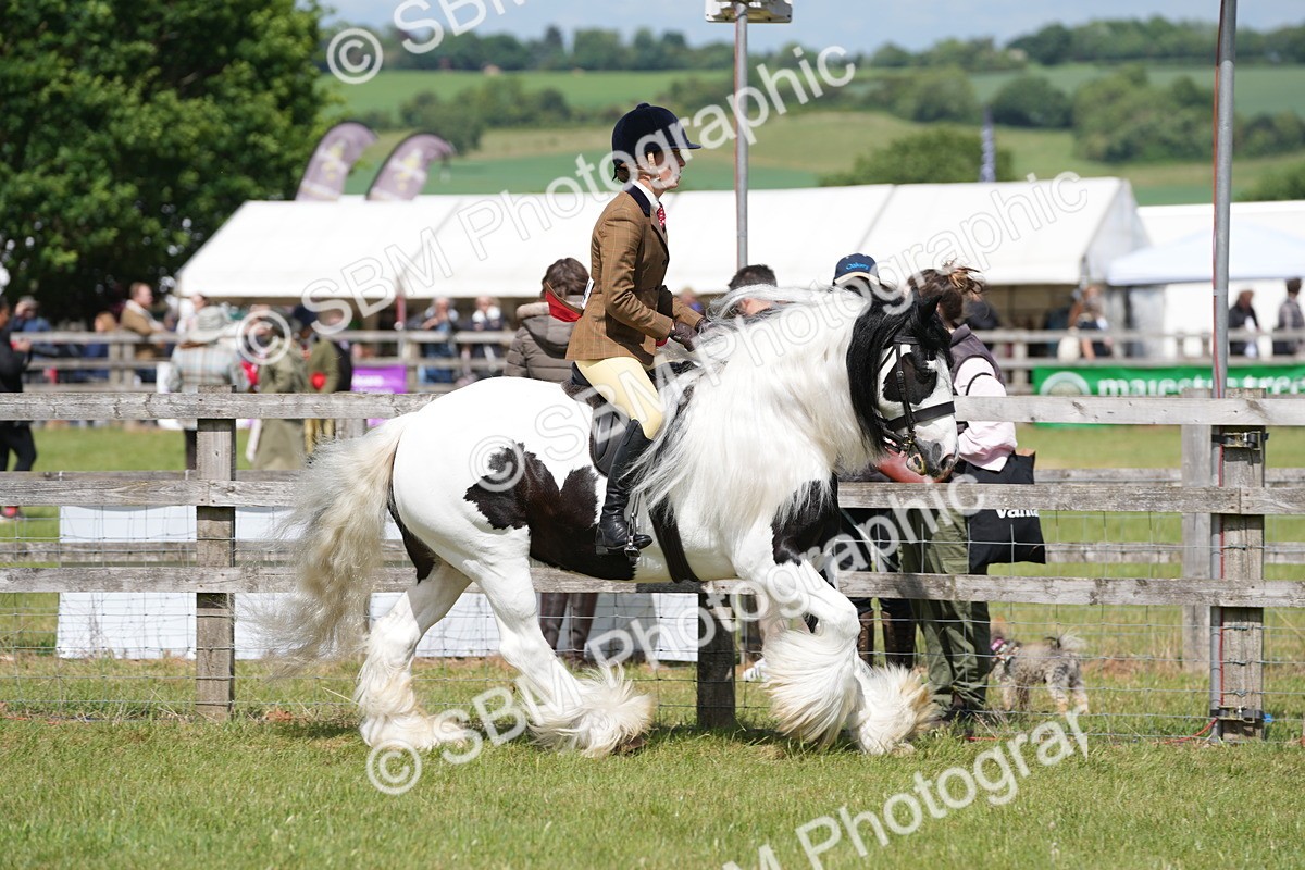 SBM_17131 - Class 107-108 - LIHS BSPS Performance Coloured Horse Pony