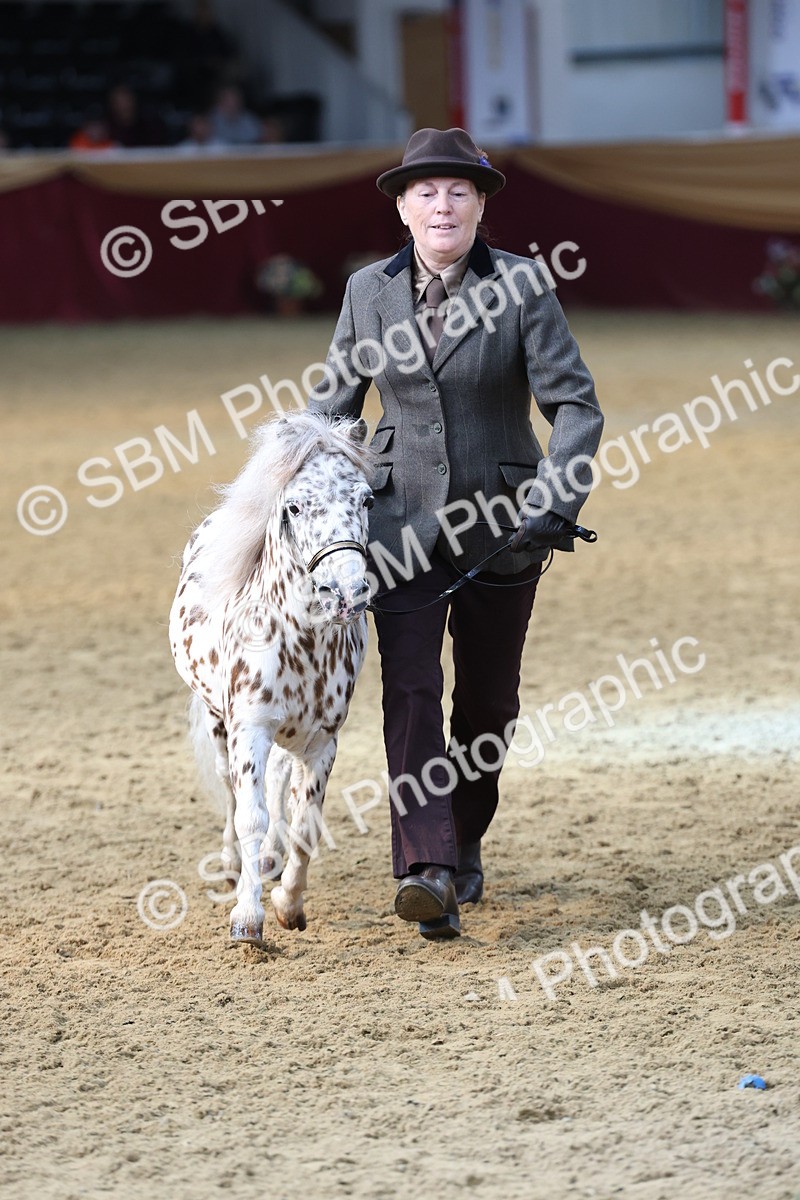 SBM_22509 - Class 902 - Supreme Final - IH Diamond