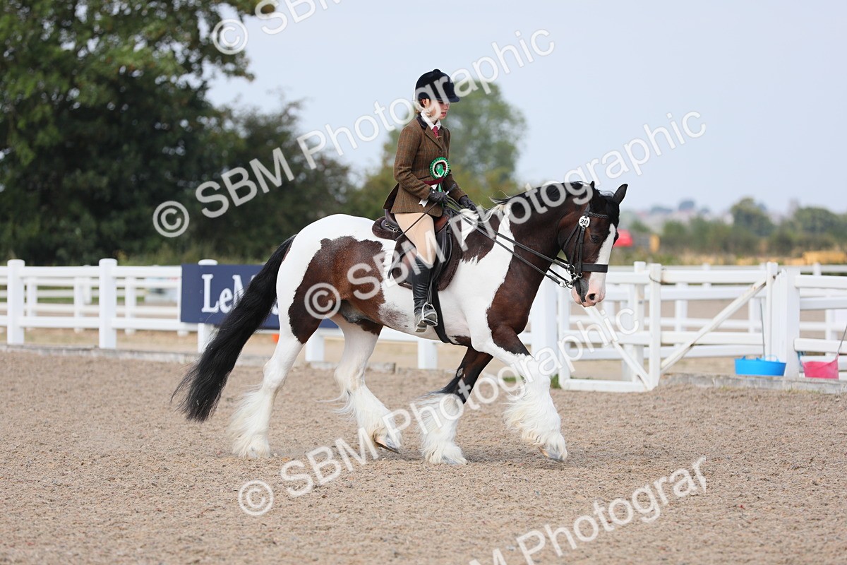 SBM_13555 - Class 308 Ridden Coloured Horse