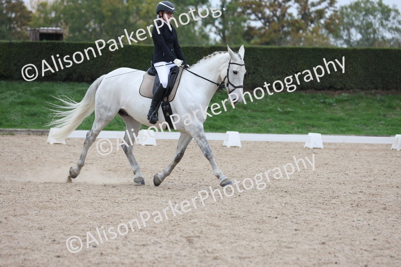 20251011-0435 - Class 4 - Novice 2