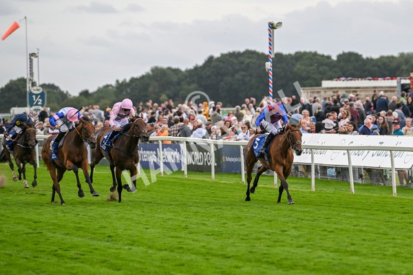 220824-Race 4-Content-7371 - Race 4 3.35pm Pertemps Network Yorkshire Oaks