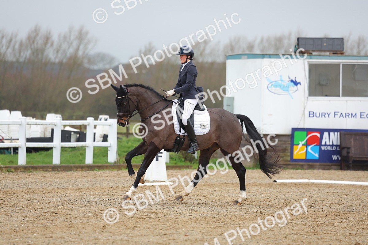 SBM_003542 - Class 7 - Novice 6
