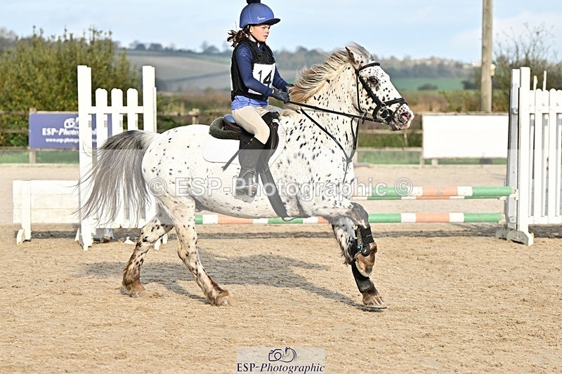 241110-133056-00857 - 60-65cm Arena Eventing