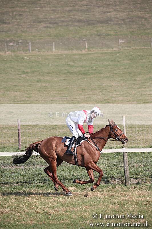 PtP 230219 254 - Vine & Craven Point-To-Point - Barbury 23/02/19