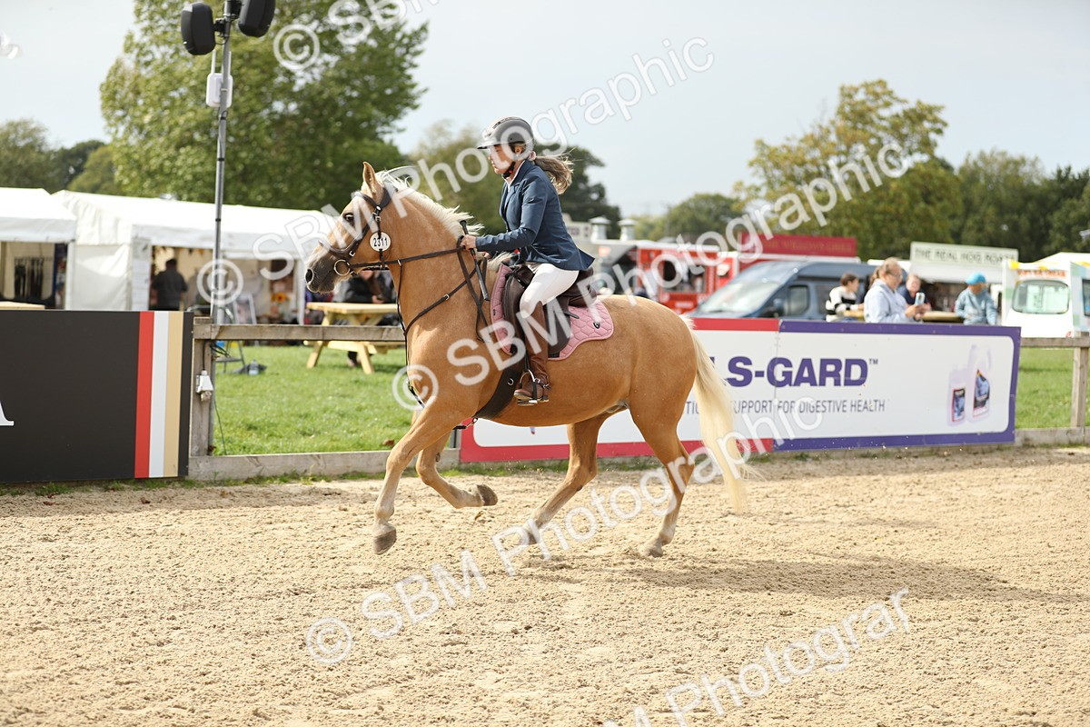 SBM_08957 - J30 - Senior Horse & Pony 70cm Championship