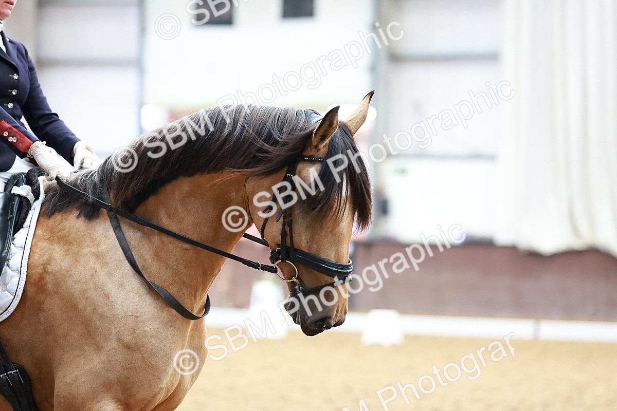 SBM_000461 - Class 3 - Prelim 2