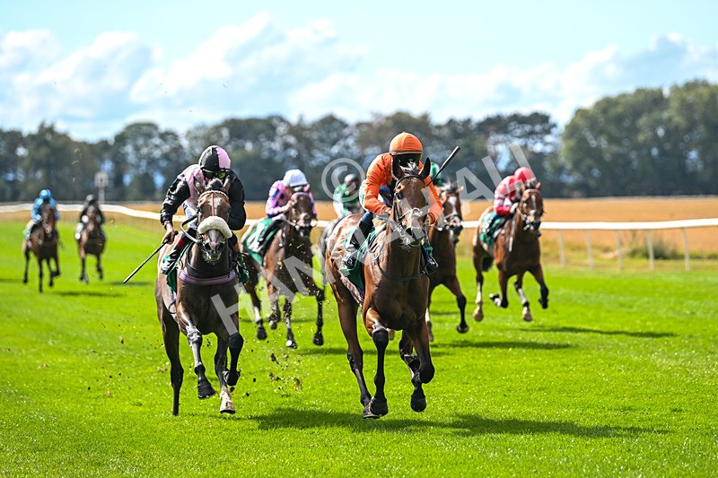 290825-Race 3-Be The Standard-8600 - Race 3