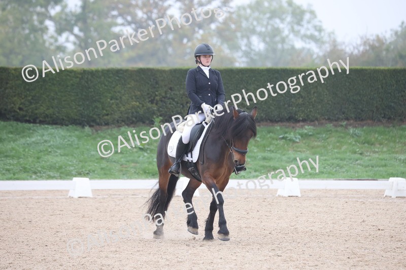 20251012-0422 - Class 3 - Novice 5