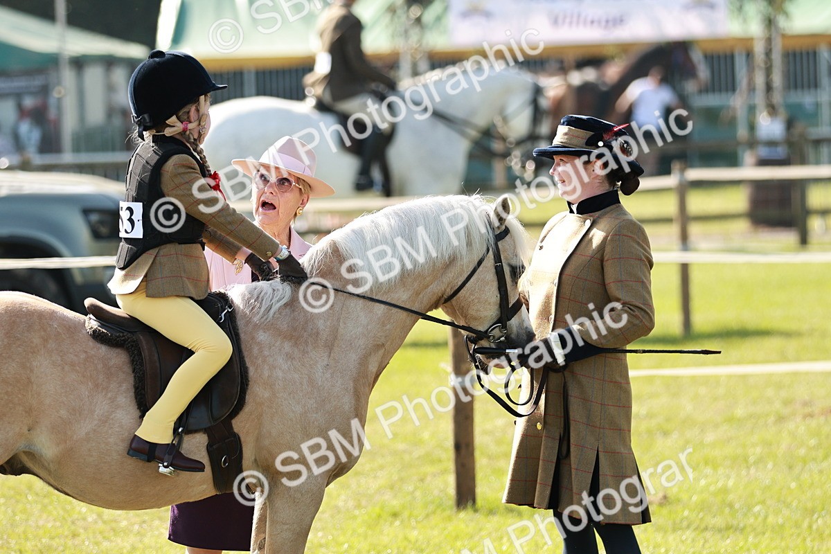 SBM_11242 - Class 106-107 - BSPS LIHS Working Sports Pony