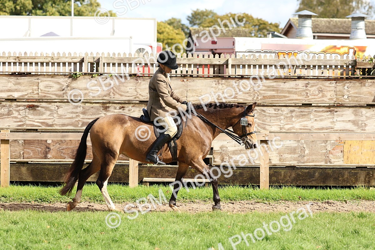 SBM_47590 - S28 - Veteran Ridden