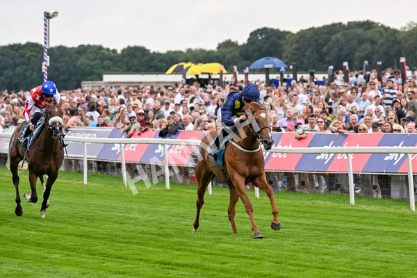 260725-Race 1-Golden Palace-0200 - Race 1 1.25pm £100K ITV7 Jackpot Today EBF Fillies' Novice Stakes