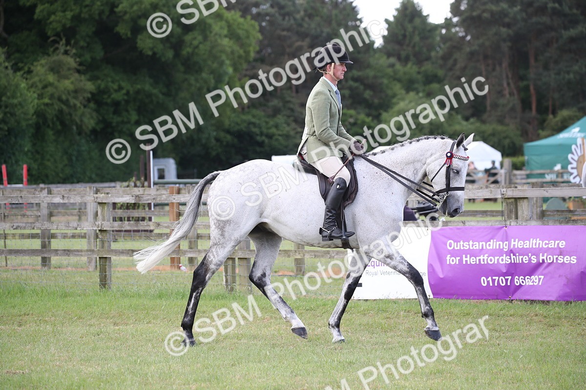 SBM_14152 - Class 113-114 - Retraining of Racehorses Ridden