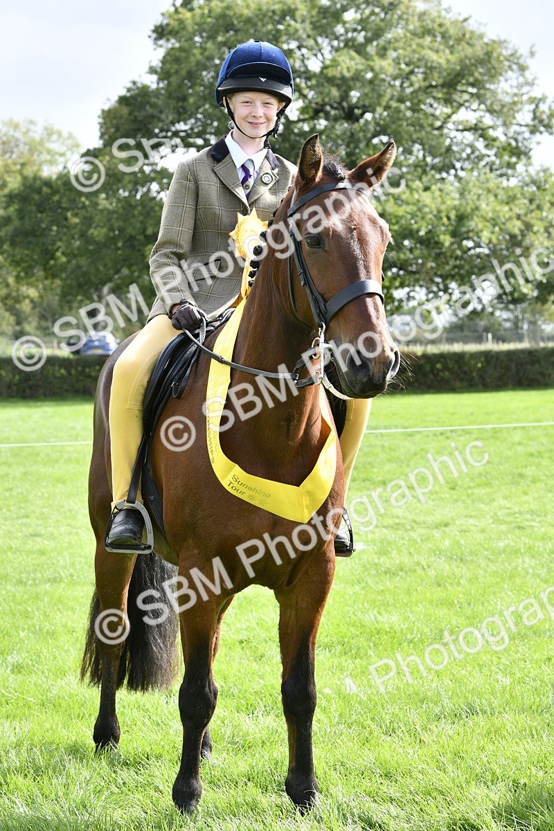SBM_41647 - S32 - Mountain & Moorland Working Hunter Pony