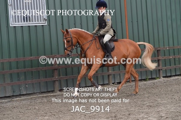 JAC_9914 - CLASS 3 Intermediate Working Hunter (0.70m - 0.85m)
