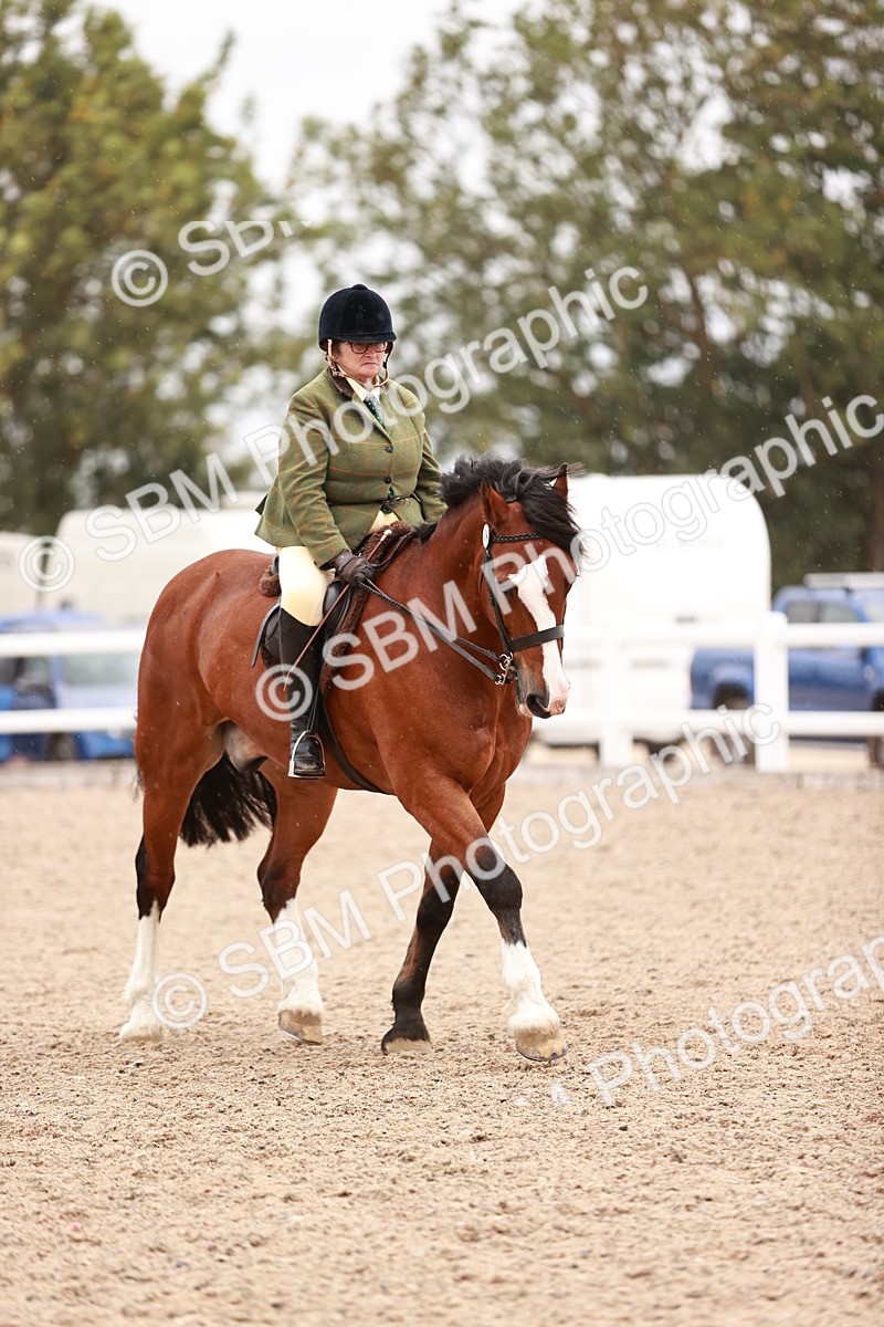 SBM_19021 - Class 422 - Ridden M&M