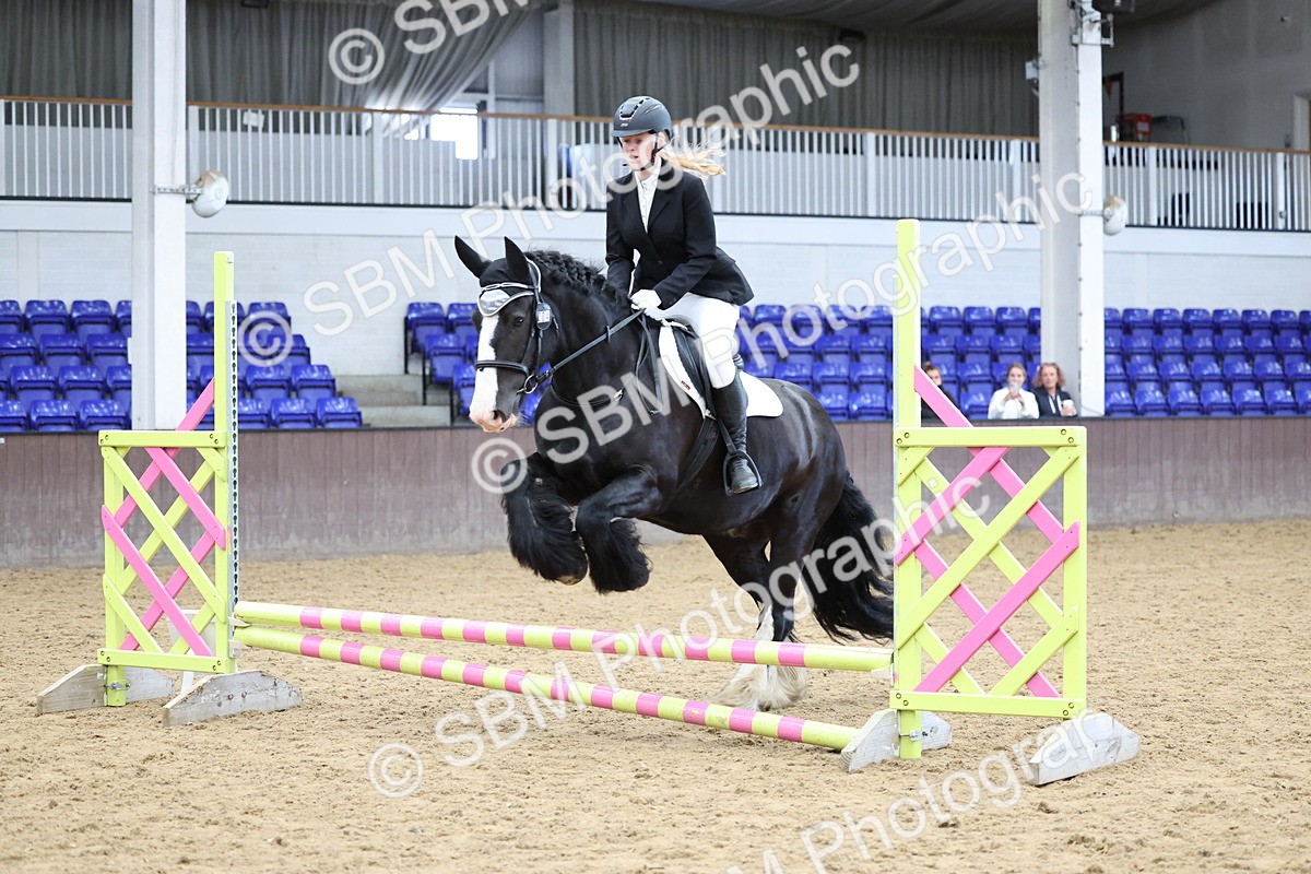SBM_007313 - Class 2 - 50cm showjumping