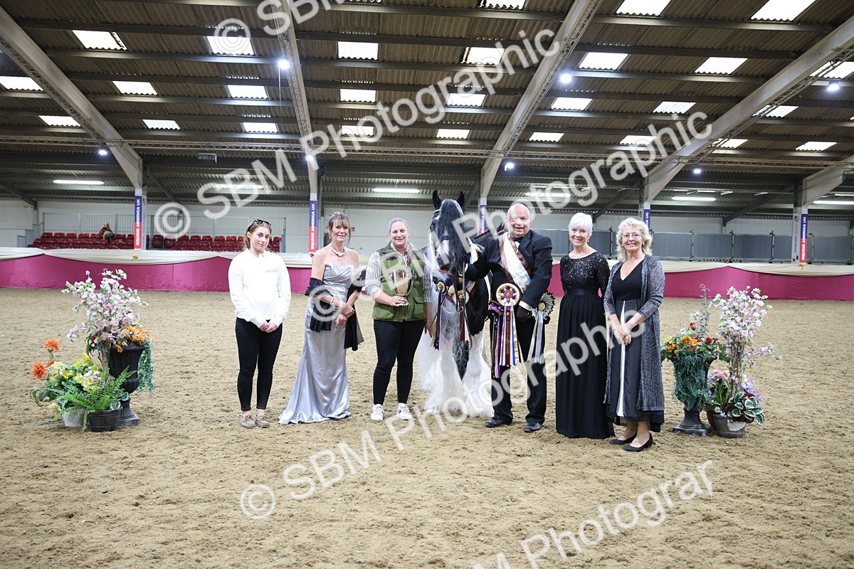 SBM_18629 - Class C Best Turned Out Champ