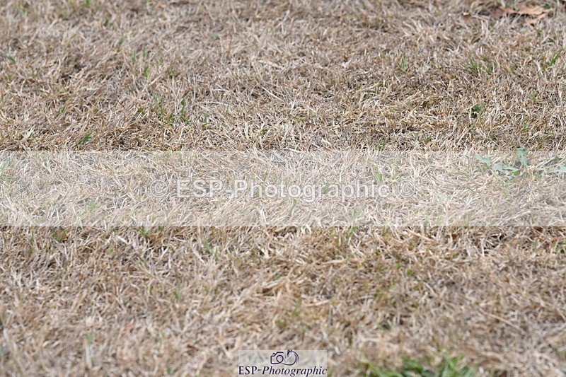 250820A-175346-12344 - Wednesday Presentations