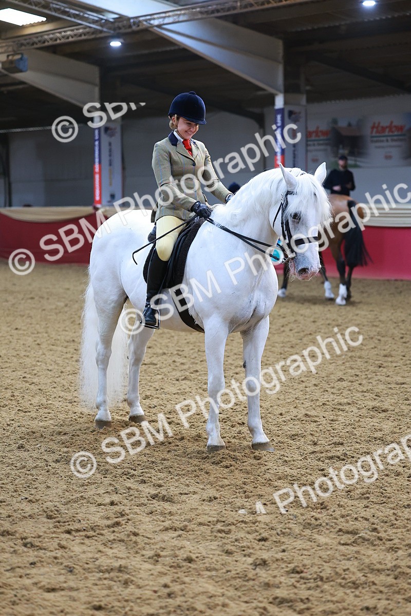 SBM_07668 - Class 101 - HOYS Veteran Qualifier - Ridden Diamond