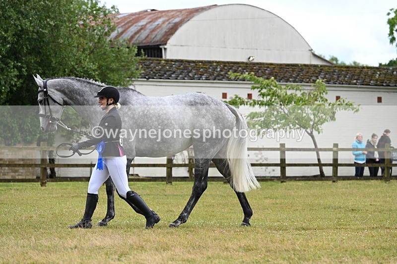 WJ7_6430 - Class 4a Prettiest Mare over 14hh