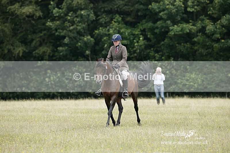 BVRC 030721 199 - Bourne Valley Riding Club Dressage 03/07/21