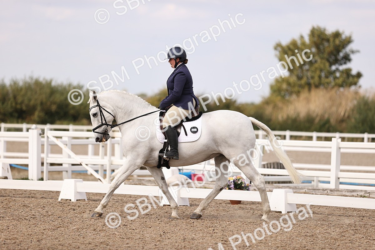 SBM_06087 - Class 37 Novice 5