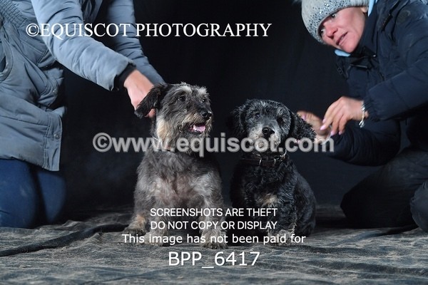 BPP_6417 - CARLA DOGS