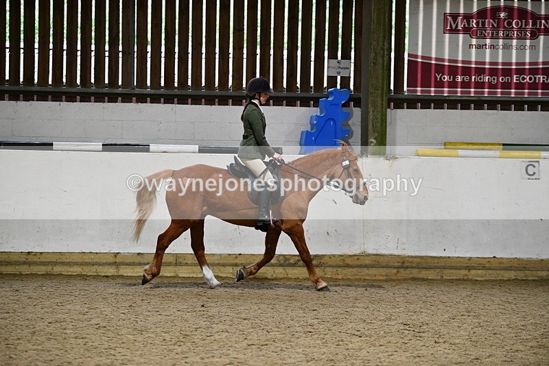 WJ5_8504 - Class 14 Novice Ridden/Rider