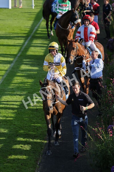 yr08102021r5-7 - Race 5 4.20pm Copper Knight - Winning Most Horse At York Handicap