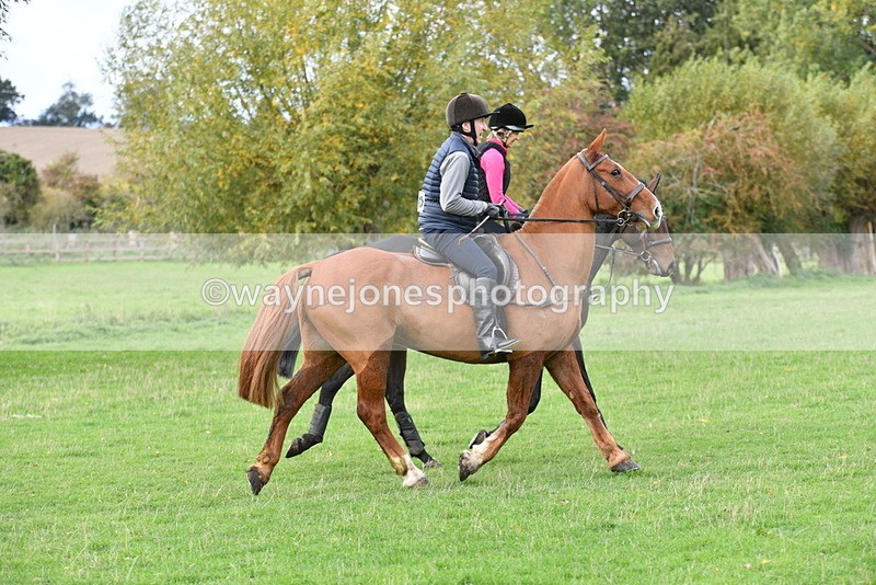 WJ5_0398 - Time 13:59 to 14:28